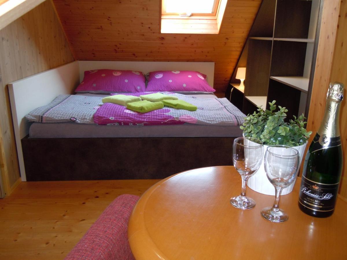 Apartment Wellness Vlckova Экстерьер фото